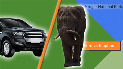 Ford vs Elephant - Kruger National Park
