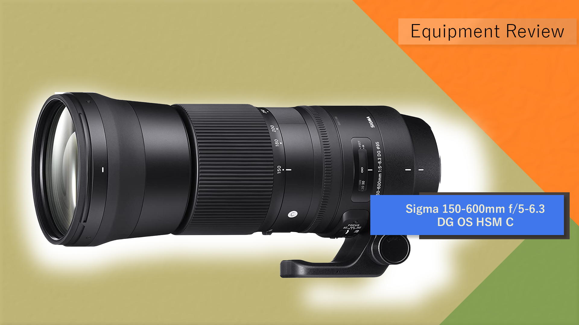 Sigma 150-600mm f/5-6.3 DG OS HSM C | Canon 90D - Test Footage